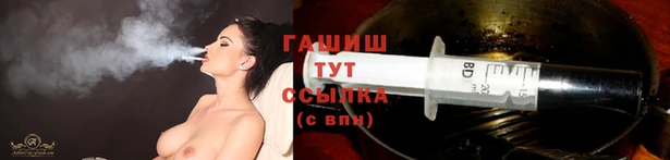 сатива Армянск