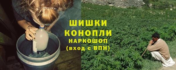 сатива Армянск