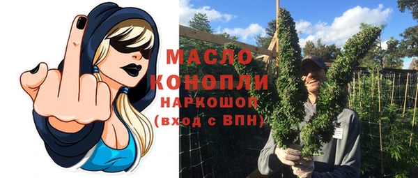 сатива Армянск