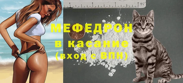 PSILOCYBIN Аркадак