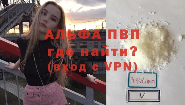 сатива Армянск