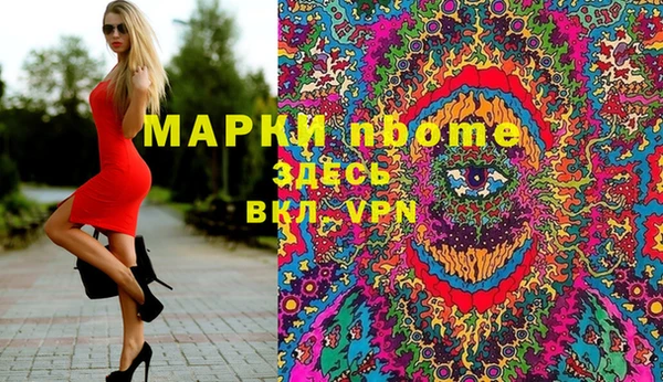 PSILOCYBIN Аркадак